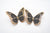 Golden butterfly earrings by Smells Like Crime, Co.
